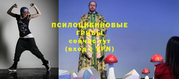 шишки Тихвин
