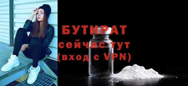 шишки Тихвин